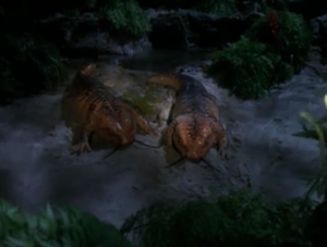 They find Janeway and Paris three days later. They turned into salamanders. So the ultimate stage of evolution for humans is these unintelligent salamanders