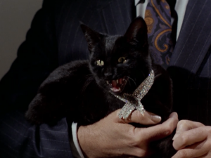 The sound his cat makes was obviously made by a person trying to sound like a cat