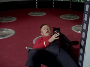 The cat attacks a security guard