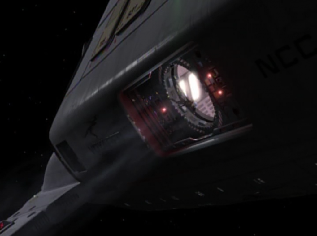 Chakotay releases the Borg out into space. Only 7 of 9 survives.