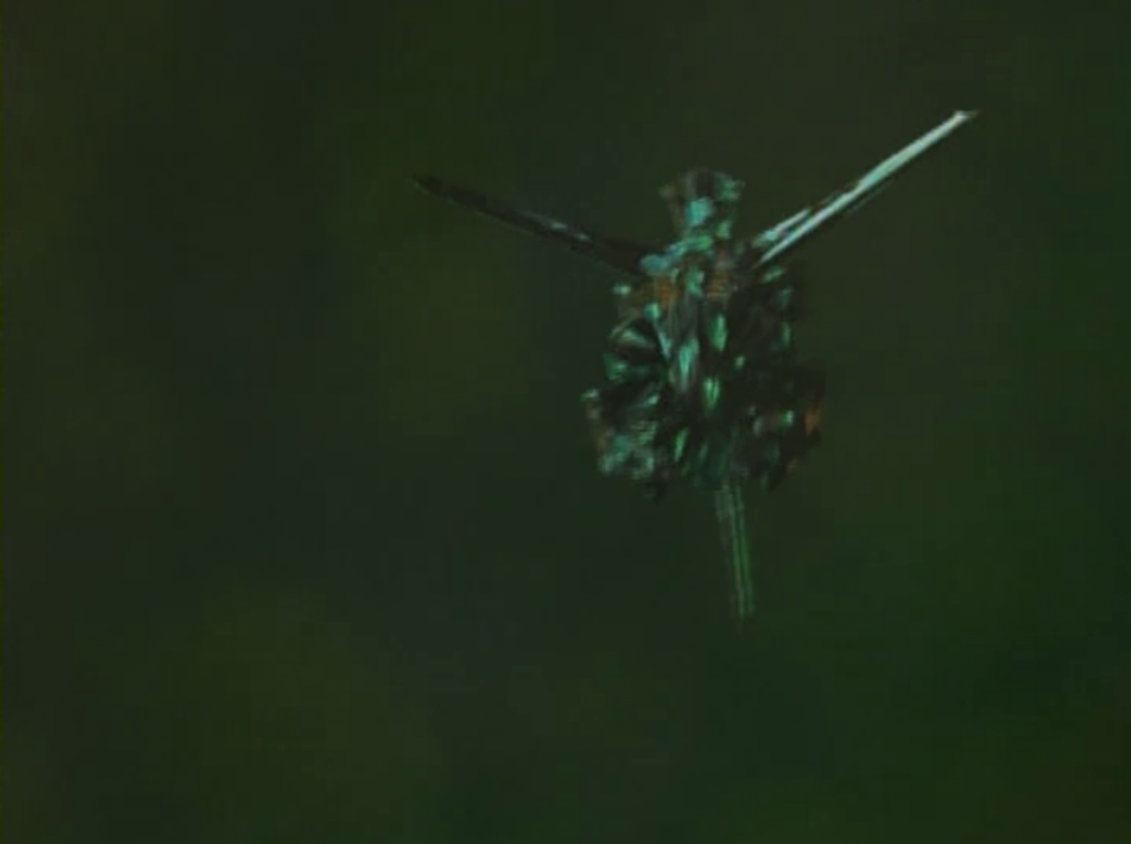 Voyager launches some of their super torpedoes and it destroys their ships